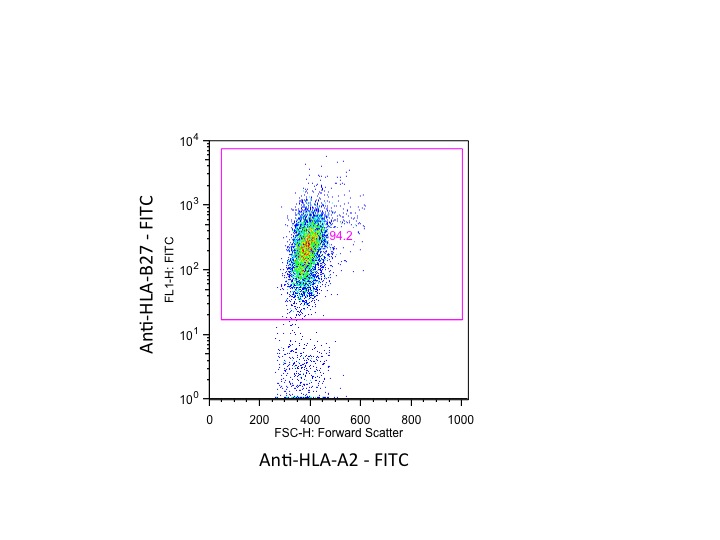 FITC Antihuman HLAB27 Antibody Review Antibody Review